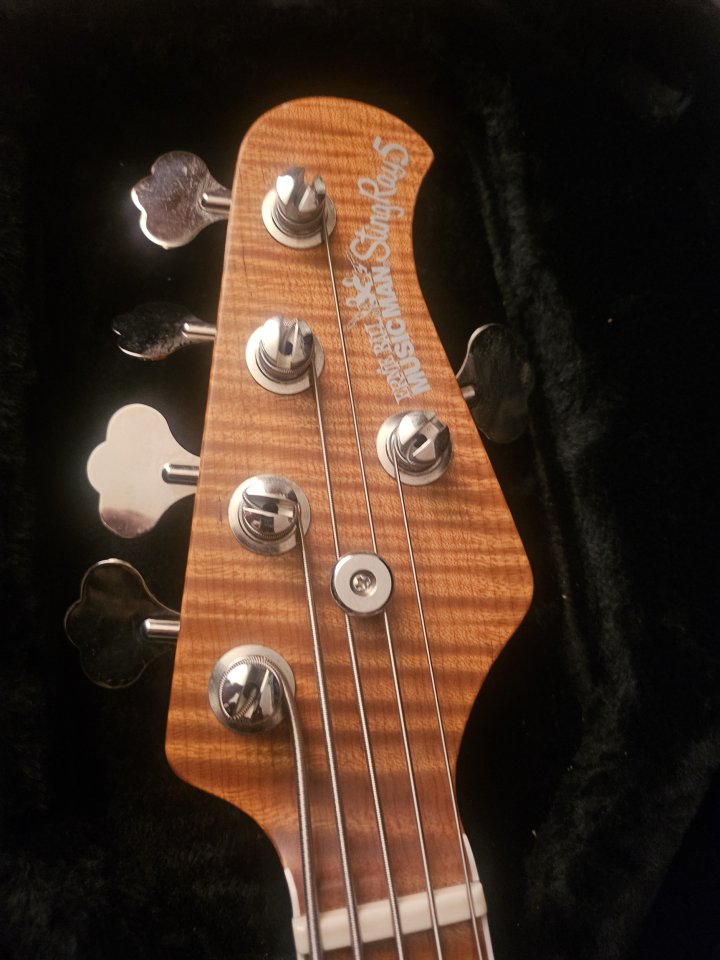 Music man stingray 5 cuerdas especial de segunda mano · Foto 4 de 9 · Madrid · 2700 €