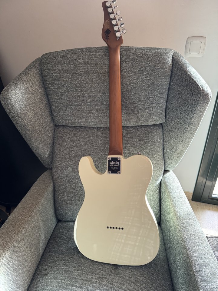 Telecaster Schecter Nick Jonston, PT Atomic Snow