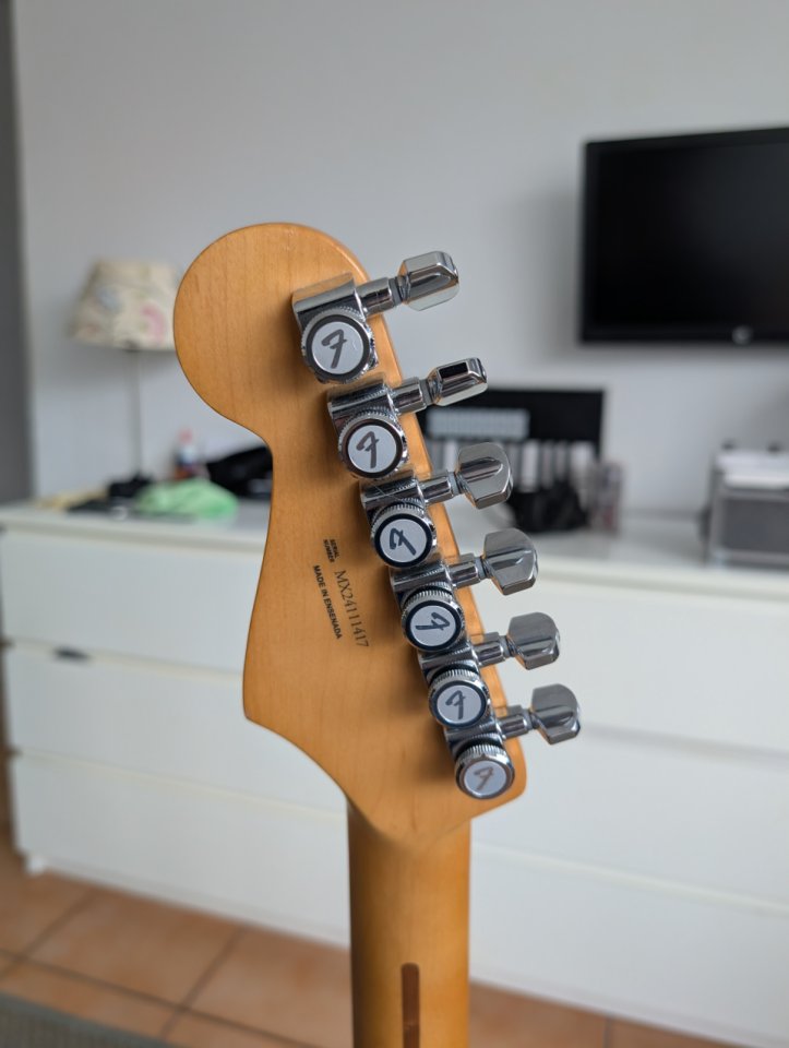 Fender stratocaster Player II Modified