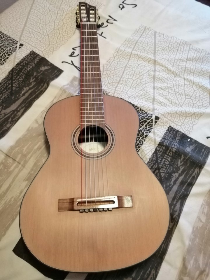 Guitarra Clásica 7 cuerdas APC 9C