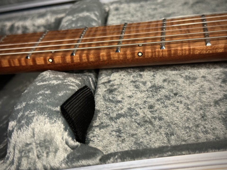 Vendo Mayones Regius Máster Grade