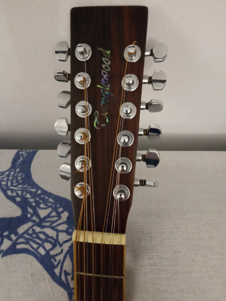 Tanglewood 12 cuerdas