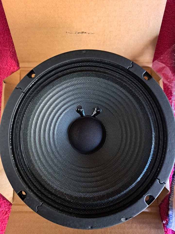 Altavoz Blackstar a estrenar.