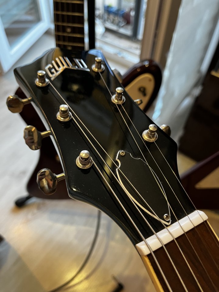 Guild Starfire I DC Pelham Blue de segunda mano · Foto 7 de 7 · Sevilla · 450 €