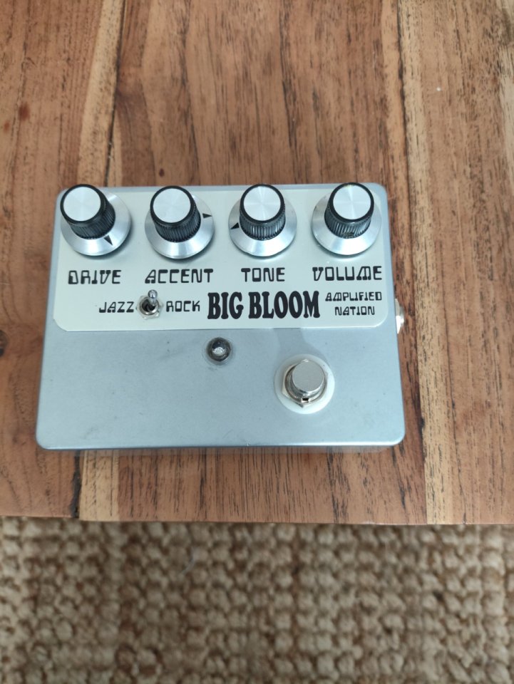 Overdrive Big Bloom de segunda mano · Foto 2 de 6 · Alicante · 375 €