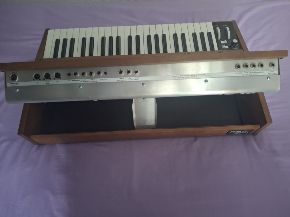 moog minimoog risue 2016 de segunda mano · Foto 3 de 5 · Madrid