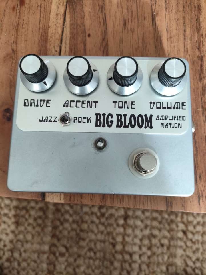 Overdrive Big Bloom de segunda mano · Foto 5 de 6 · Alicante · 375 €