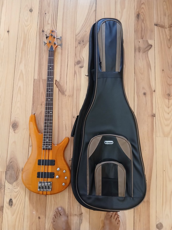 Bajo Ibanez SR-900 + funda