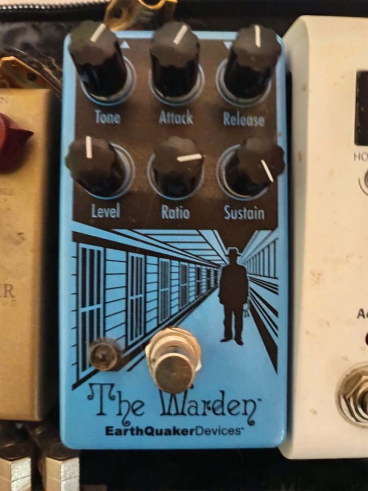 Earthquake devices THE WARDEN de segunda mano · Foto 4 de 4 · Barcelona · 140 €