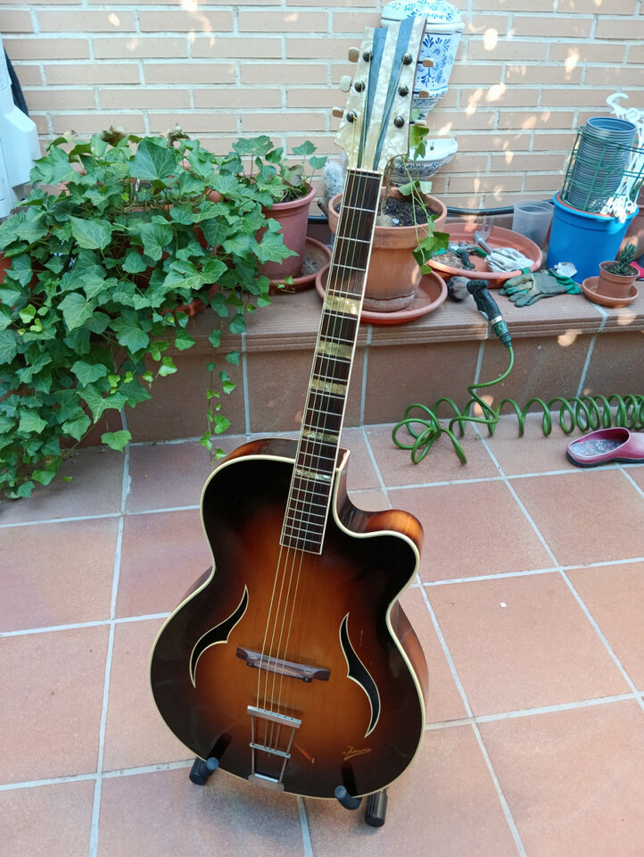 Isana Archtop 1959 (también cambio)