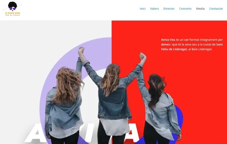 Creación de páginas web y gestión de redes sociales para músicos de segunda mano · Foto 4 de 8 · Barcelona