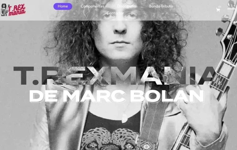 Creación de páginas web y gestión de redes sociales para músicos de segunda mano · Foto 7 de 8 · Barcelona