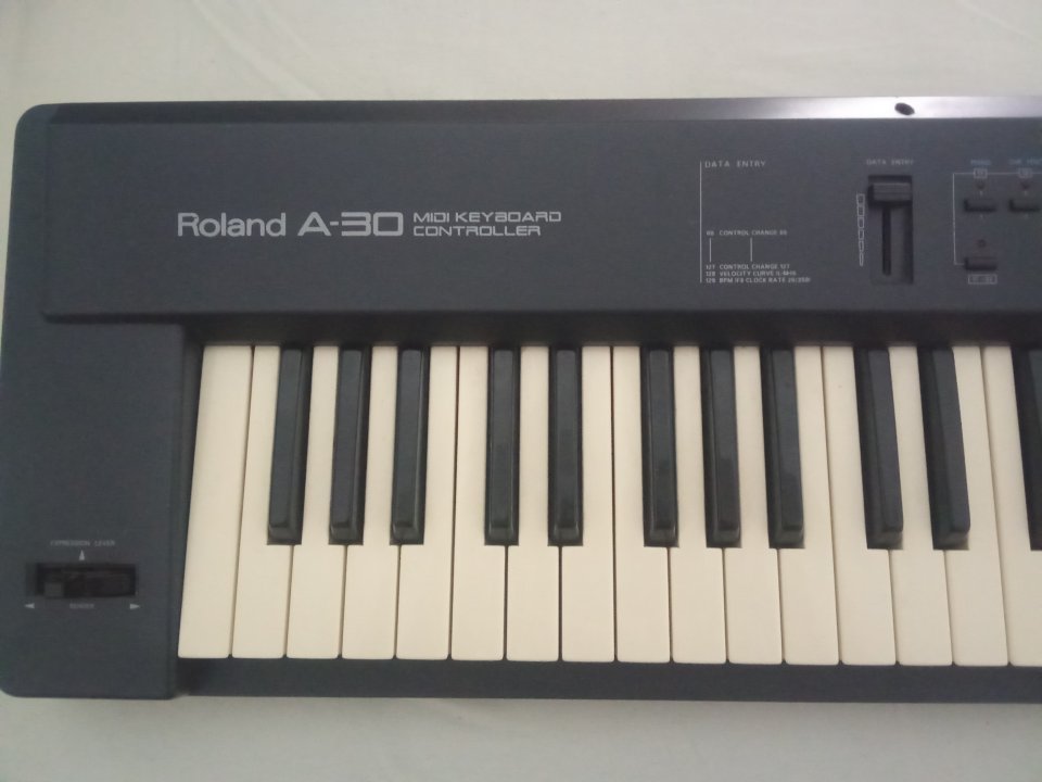Roland a30