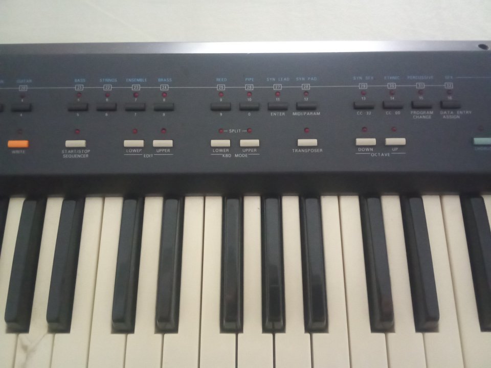 Roland a30