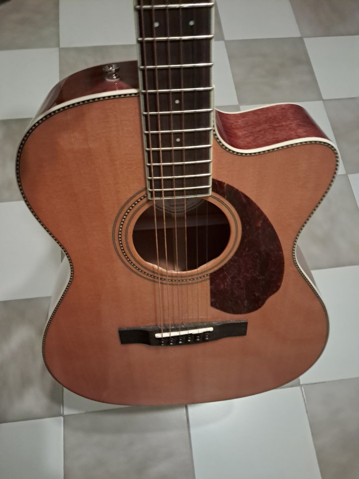 Fender PM-3 electro-acústica