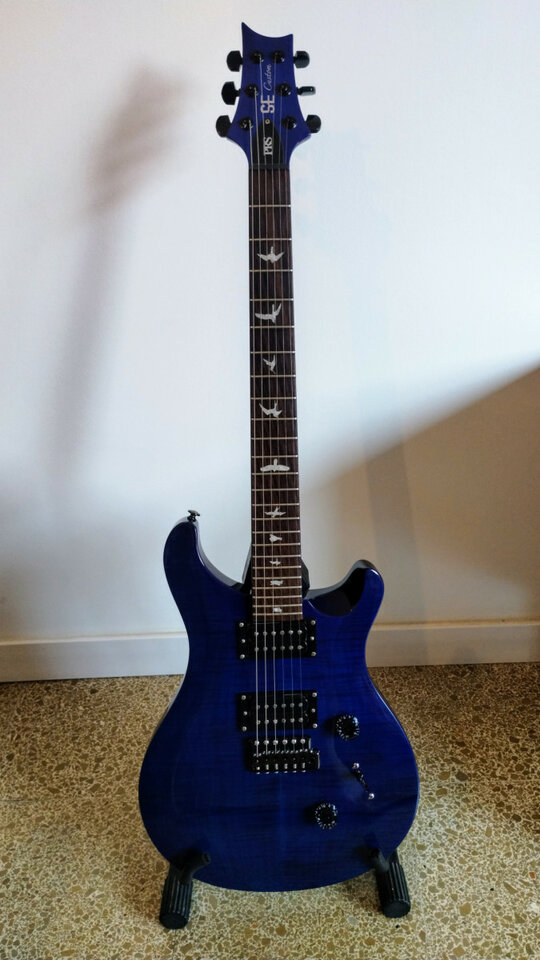 PRS SE custom 24