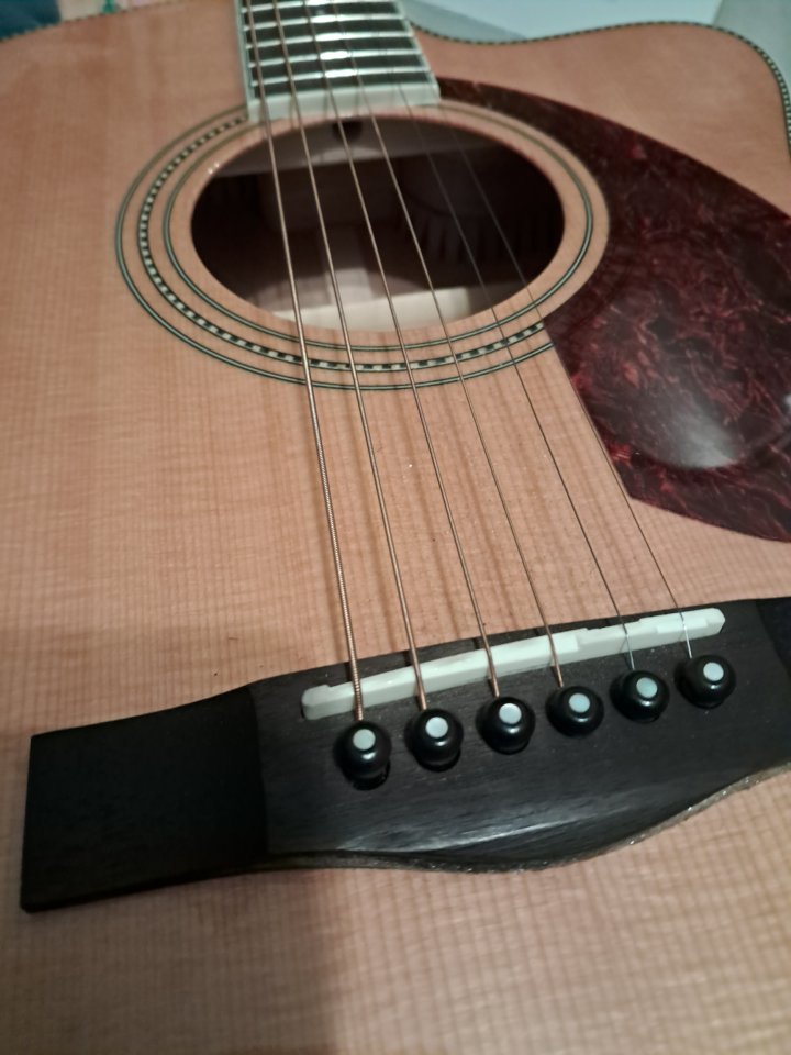 Fender PM-3 electro-acústica