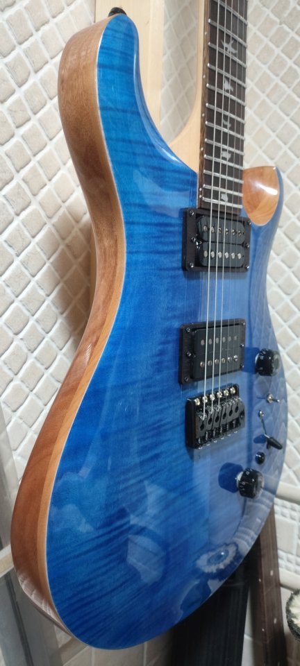PRS SE CUSTOM 24-08 Ultra modificada, también cambio