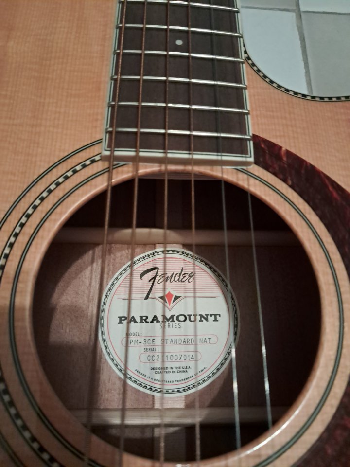 Fender PM-3 electro-acústica