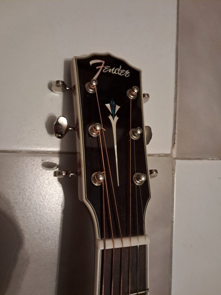 Fender PM-3 electro-acústica