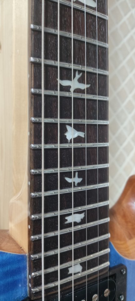 PRS SE CUSTOM 24-08 Ultra modificada, también cambio