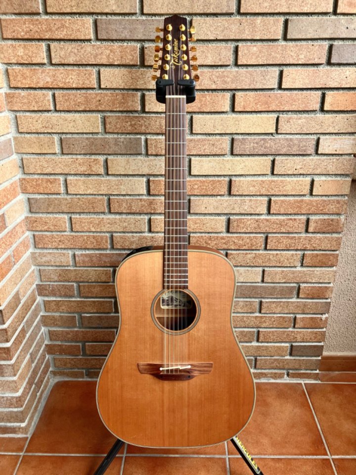 Takamine 12 cuerdas Japón + estuche de segunda mano · Foto 3 de 10 · Barcelona · 850 €