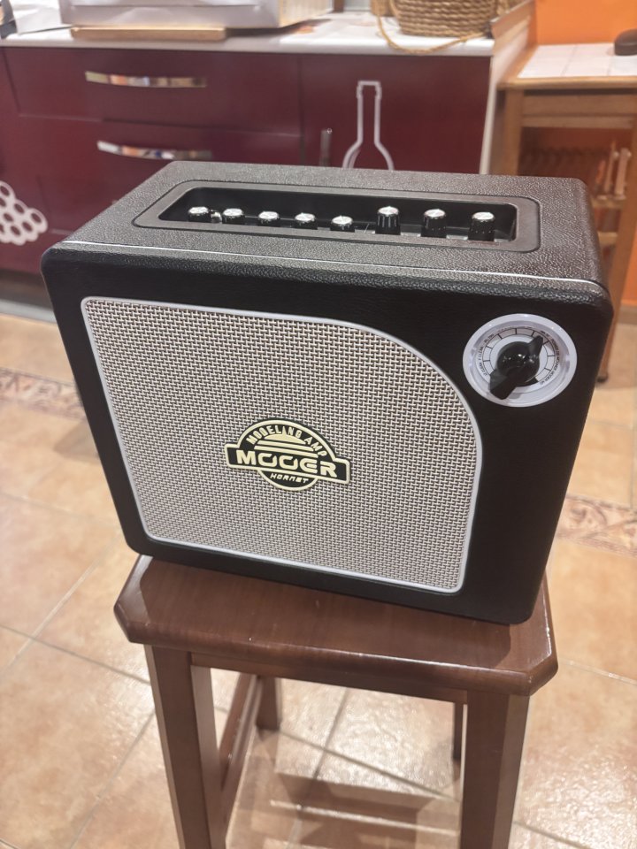Mooer Hornet 15 Ampli de modelaje de segunda mano · Foto 1 de 5 · Jaén · 55 €
