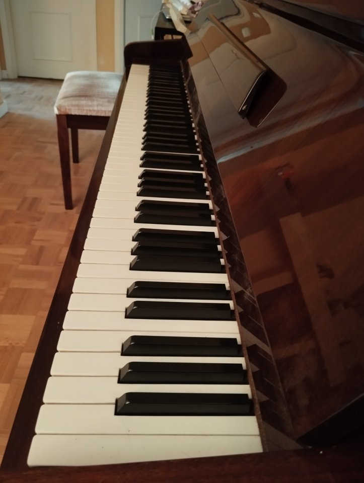 Piano Rosler, 113, nogal