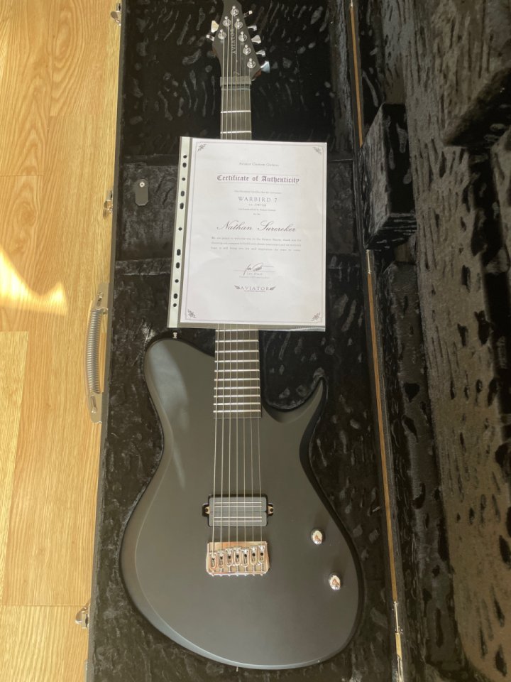 Aviator Warbird 7 Baritone de segunda mano · Foto 9 de 10 · Barcelona · 1650 €