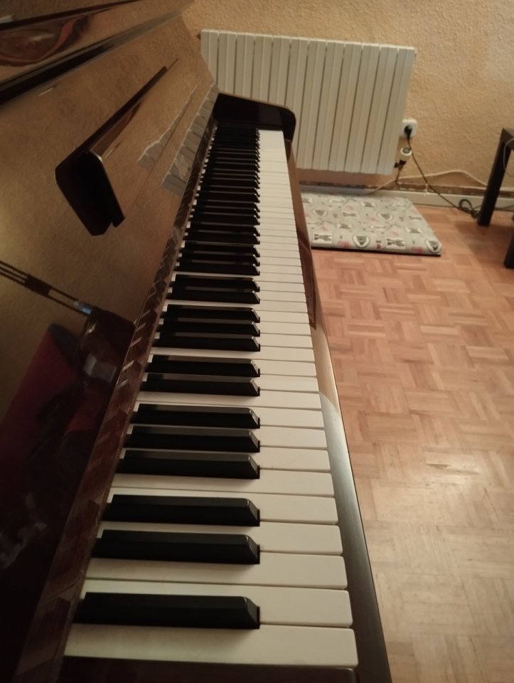 Piano Rosler, 113, nogal