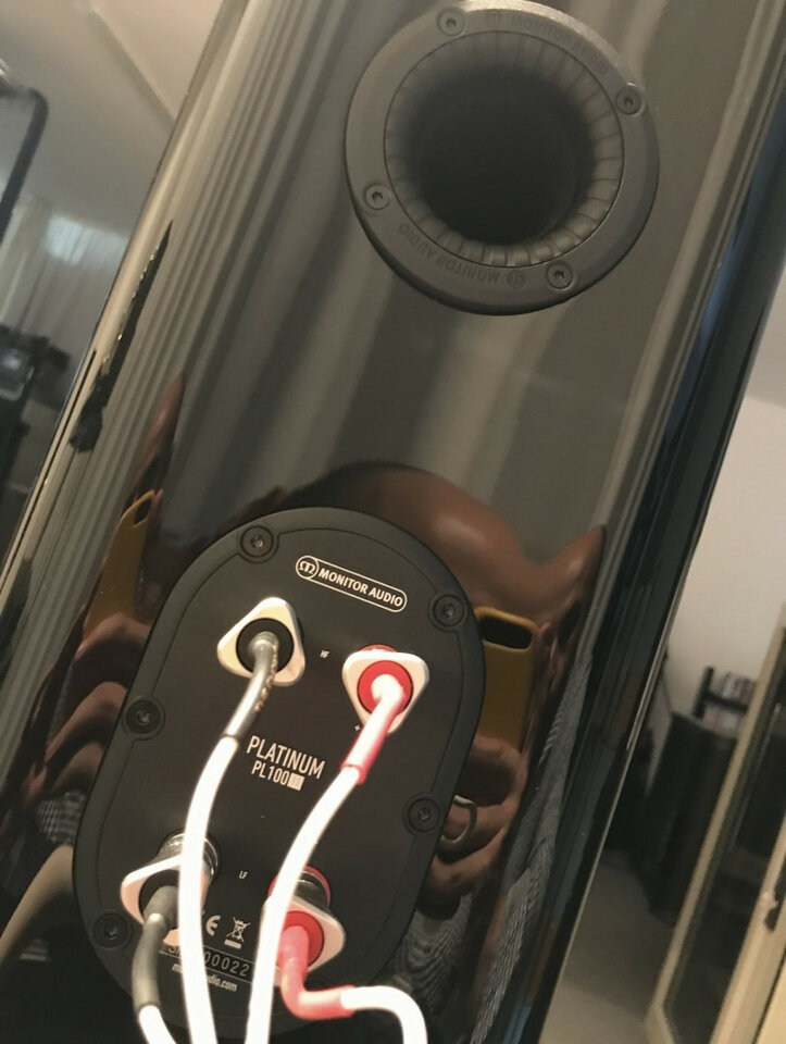 Altavoces Monitor Audio Platinum II + Stands