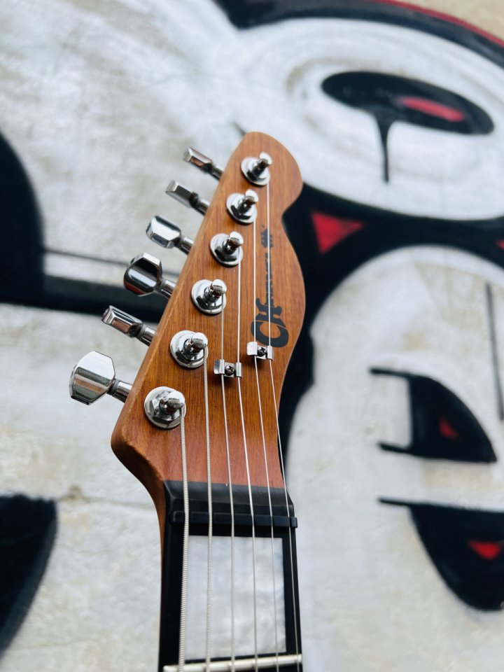 Charvel Pro Mod San Dimas Joe Duplantier