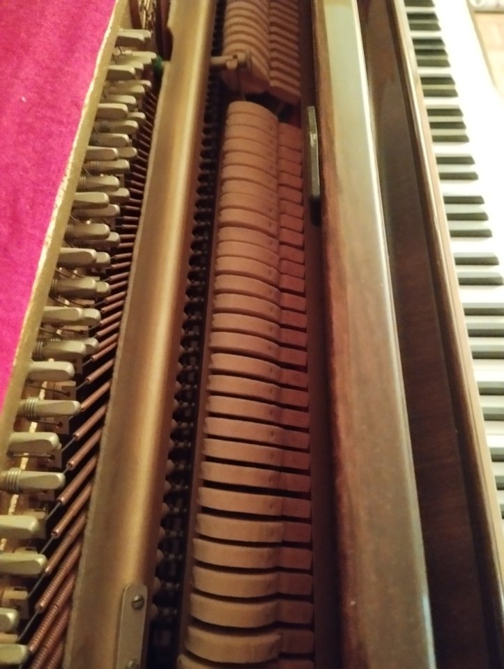 Piano Rosler, 113, nogal