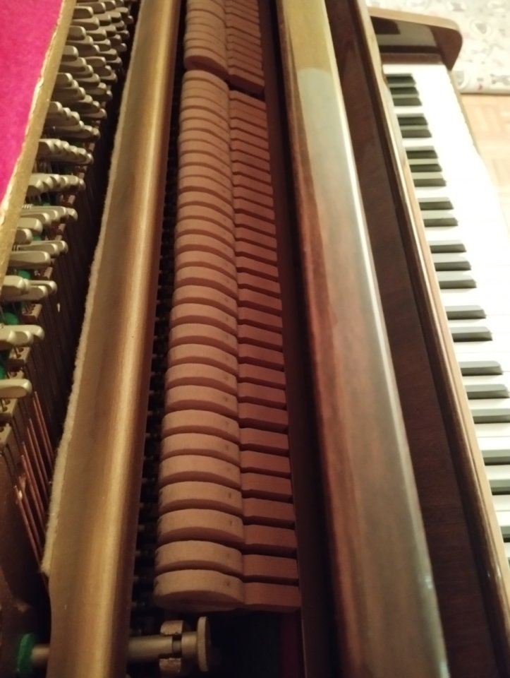 Piano Rosler, 113, nogal