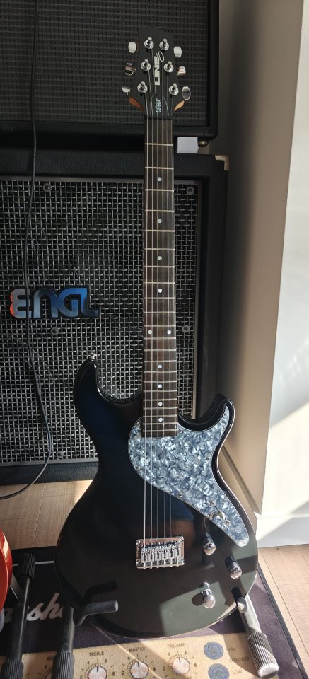 Variax Line6 rebaja durante el Black