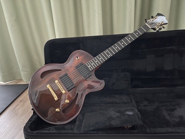 Victor Baker Semi-hollow 14''