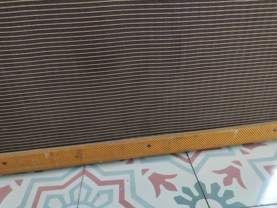 Fender Blues Deluxe Reissue con Cannabis Rex