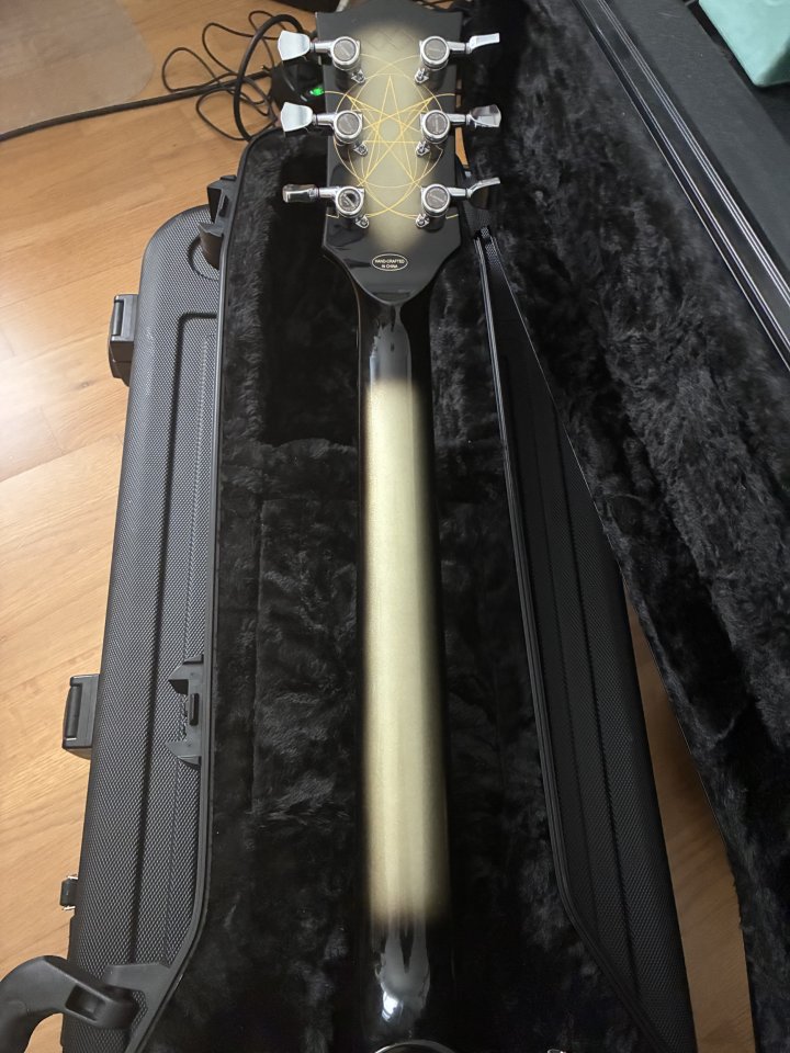 Epiphone LP Custom 1979 Adam Jones de segunda mano · Foto 5 de 5 · Asturias · 999 €