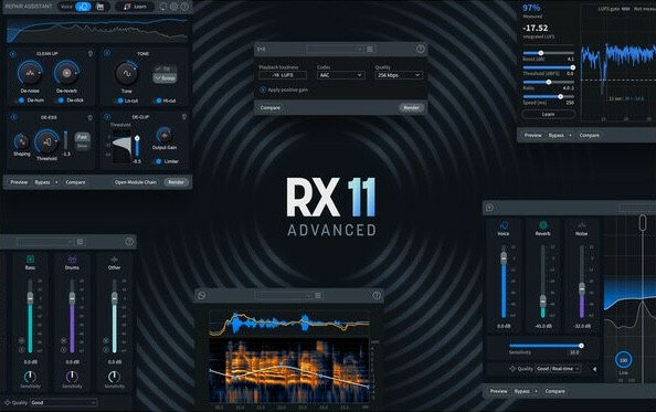 Licencia de Izotope RX 11 Advance