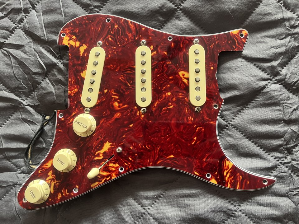 Pickguard tortoise con pastillas Fender 57/62