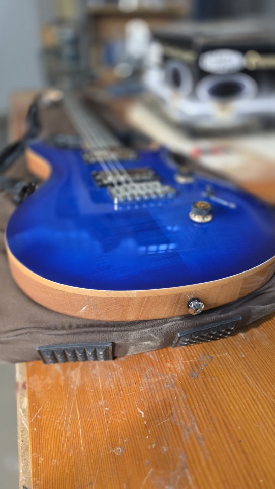 PRS SE custom 24 modificada con estuche gator y funda prs