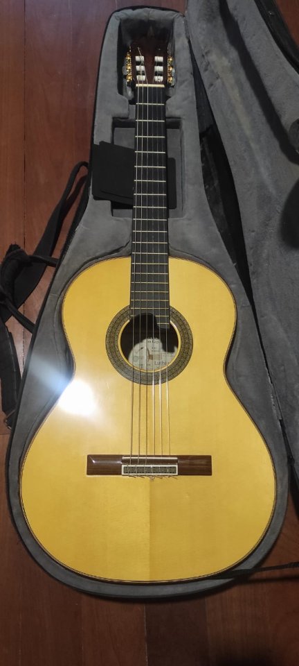 Guitarra clásica de segunda mano · Foto 1 de 8 · Segovia · 2800 €
