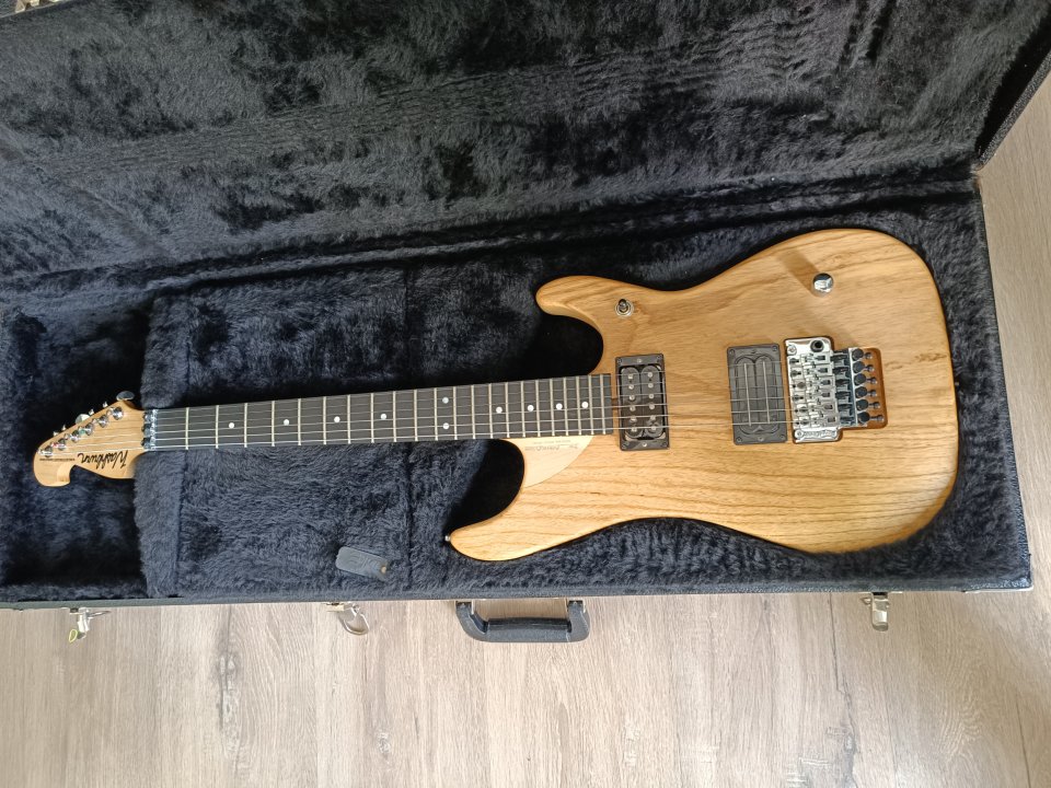 Washburn N4 de segunda mano · Foto 1 de 4 · Cádiz · 2200 €