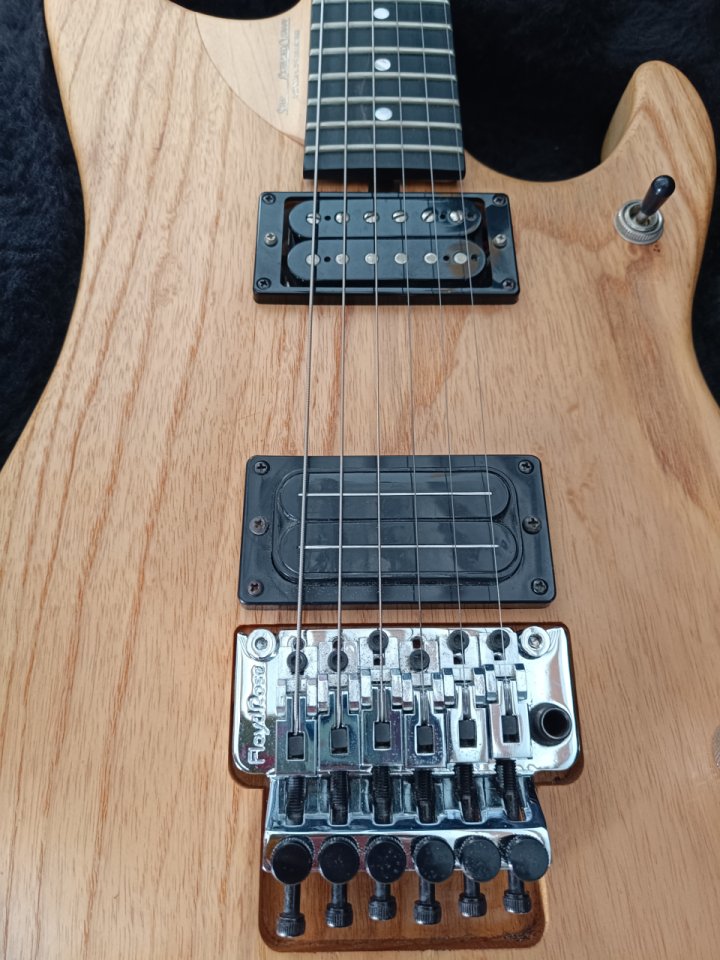 Washburn N4 de segunda mano · Foto 2 de 4 · Cádiz · 2200 €