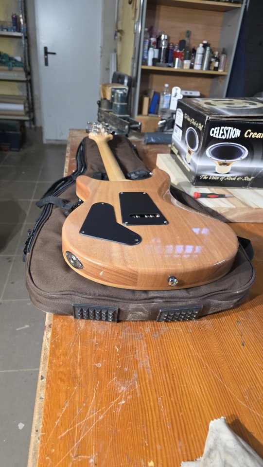 PRS SE custom 24 modificada con estuche gator y funda prs