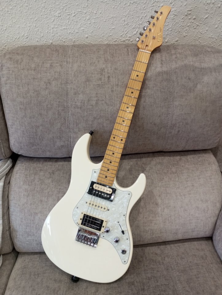 Fujigen fgn Odyssey modificada