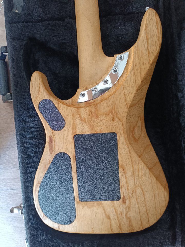 Washburn N4 de segunda mano · Foto 3 de 4 · Cádiz · 2200 €