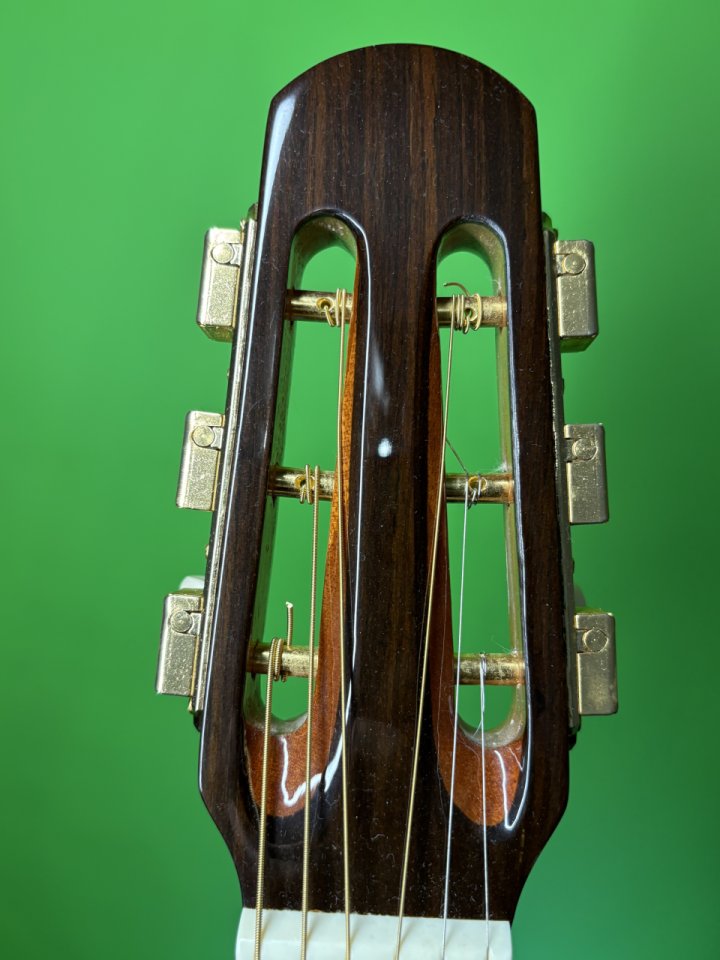 Richwood Hot Club Jazz RM-140 NT