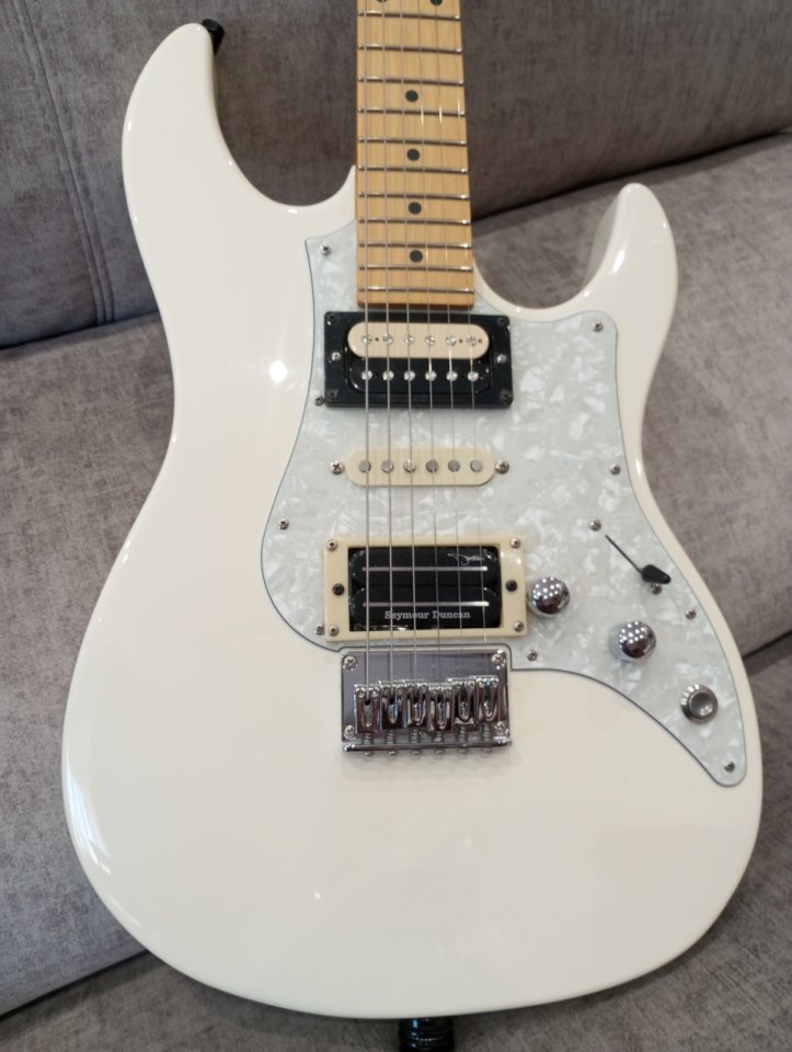 Fujigen fgn Odyssey modificada