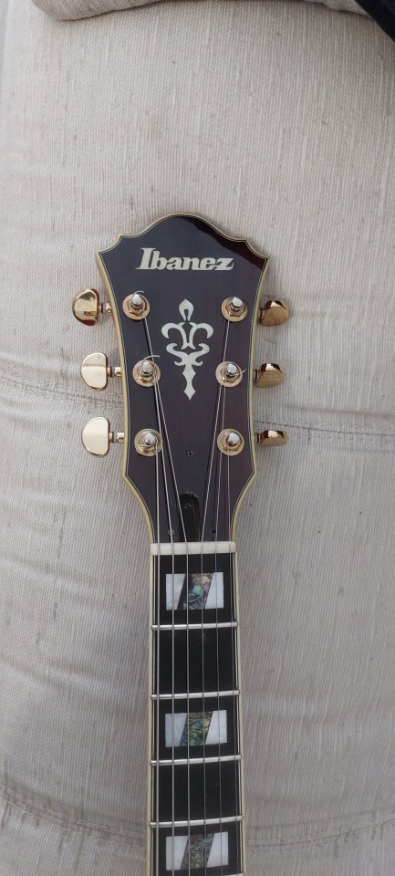 Ibanez af155 awb hollow jazz artcore